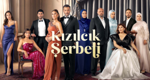 Serbet de afine / Kizilcik Serbeti